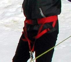 Skijoring Hip Belt